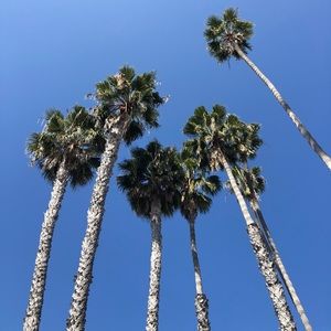 Meet your Posher, Johnna